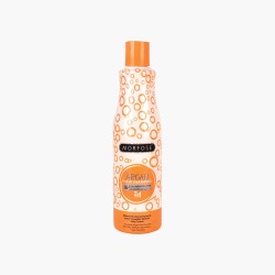 Shampoing argan 500ml Morfose