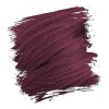 Crazy Color coloration semi-permanente Aubergine 100ml