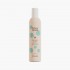 Mousse body volume 400ml Echosline