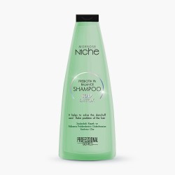Niche Professionnel shampoing anti-pelliculaire scalp detox 400ml Morfose
